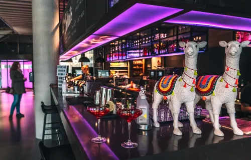 Moxy Bergen Freizeit und Erholung Photos