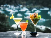 The Funny Lion - El Nido - bar