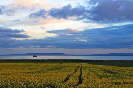 1-Bed Cottage on Coastal Pathway in South Wales Отели рядом с достопримечательностью «Barry Island Pleasure Park»
