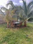 Miami Rental Hostel