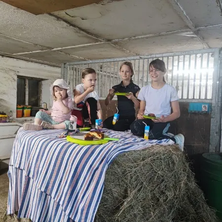 Vacation on the pony farm