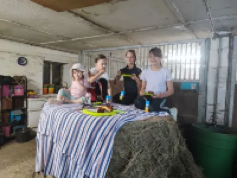 Vacation on the pony farm