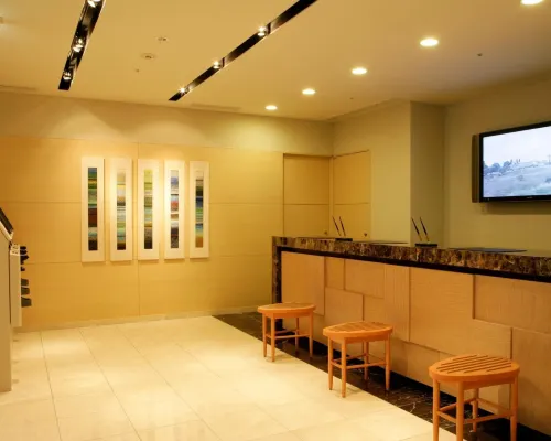 Hotel Lumiere Nishikasai Area Publik Photos