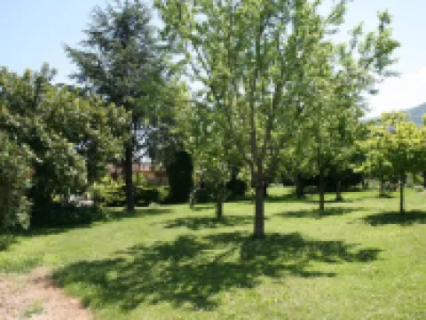 ホテル ピレンヌ フォアのホテル