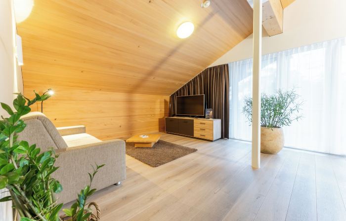 Aparthotel Alpinresort Damüls