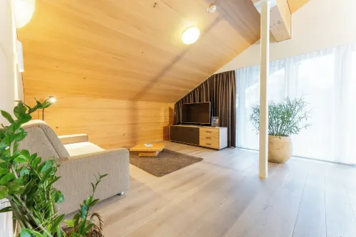 Aparthotel Alpinresort Damüls - Apartments