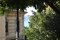 Hotel Firenze Lugano - Mountain view