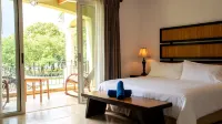 CC Beach Front Papagayo All Inclusive - balcony