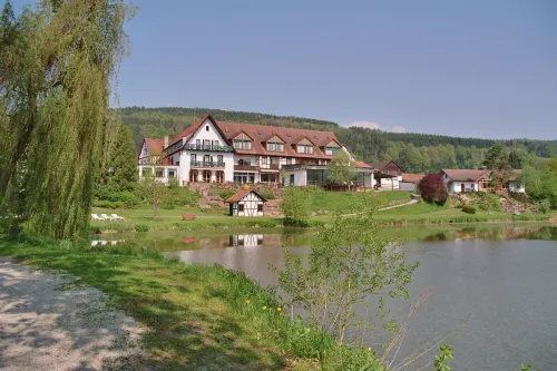 Seehotel Gut Dürnhof Hotels in Lohr am Main