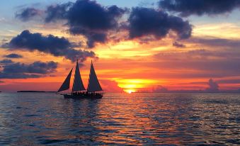 Orchid Key Inn - Adults Only