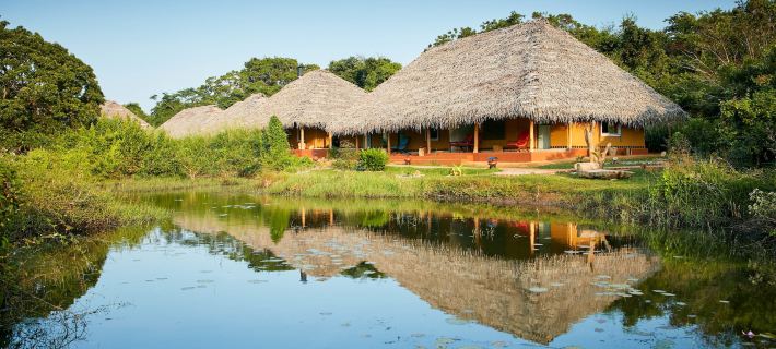 Amuna Ayurveda and Wellness Retreat Hotels in Dambulla