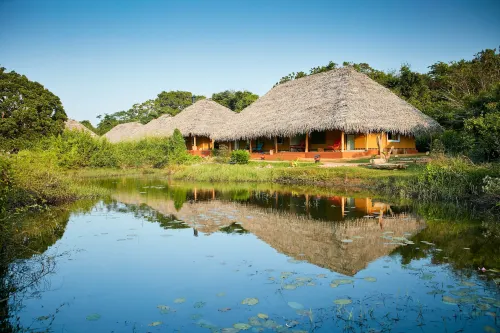 Amuna Ayurveda and Wellness Retreat 시기리야 호텔