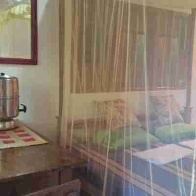 Jungle House Rooms