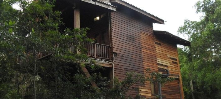 Wilpattu Tree House Hotels in Anuradhapura