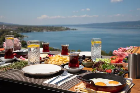 Sapanca Villa Suite Boutique Hotel Отели в г. Kurucesme Mahallesi