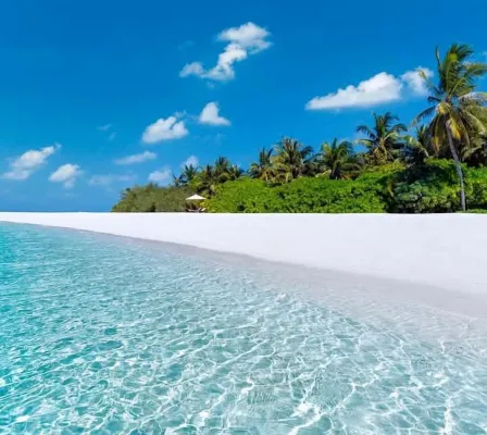 Alesara Guest House Hotels in Thoddoo