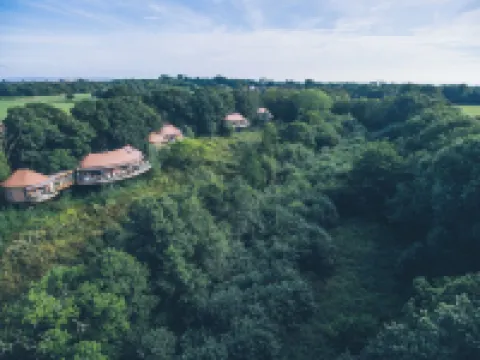Chewton Glen Hotel - an Iconic Luxury Hotel Hotels in 