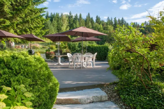 Hilltop Inn - Salmon Arm