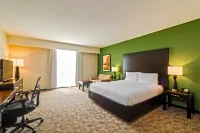 Hilton Garden Inn Tuxtla Gutierrez Các khách sạn ở 