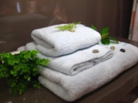 インペリアルハウス バーナビーのホテル