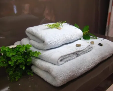 Imperial House Отели рядом с достопримечательностью «Университет Саймона Фрезера»