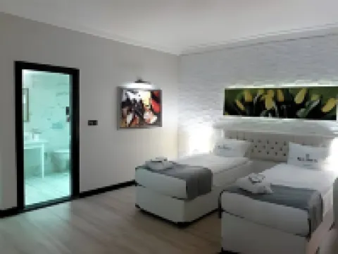 Real House Boutique Hotel Kayseri otelleri