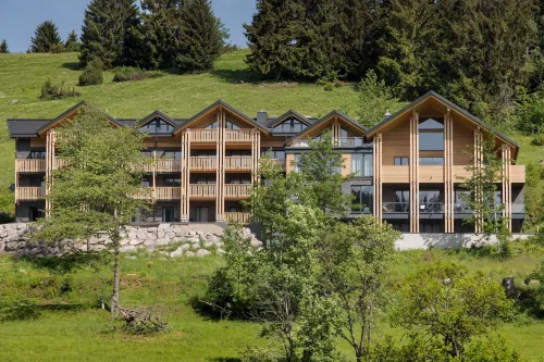 Black Forest Lodge - Parvekkeita
