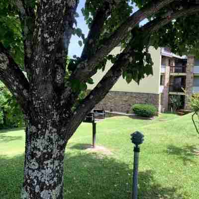 5 Star 3 bd 3ba Serenity Views w Pool Fireplace Hotel Exterior