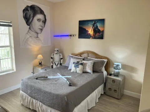 Star Wars ! Disney Like Resort !