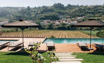 Quinta de Santo António - Country House & Villas
