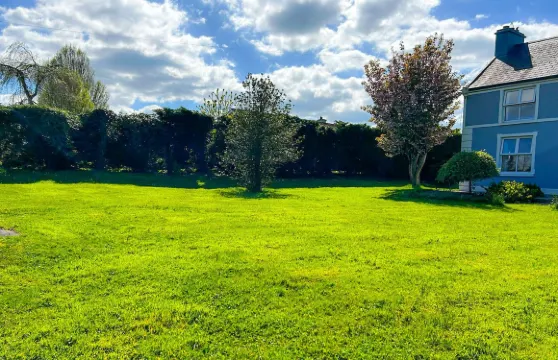 利舍恩寶恩農場旅館法蘭福爾