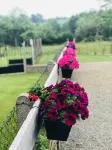 Gite de Frenes B&B - Bed and Breakfasts