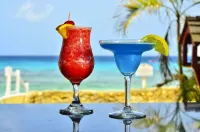The Club Barbados Resort & Spa - All Inclusive - Bares