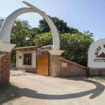 Blue Marlin Beach Hotel Hotel Exterior