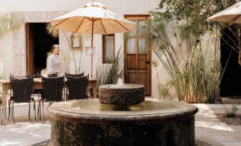 Orchid House San Miguel de Allende
