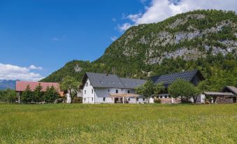 Domačija Log V Bohinju