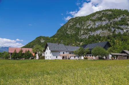 Domačija Log v Bohinju Отели в г. Лог-у-Бохіню