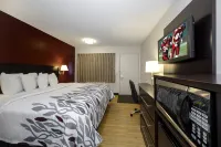 Red Roof Inn Chicago - Lansing Hotels in Lansing