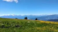 Mountain & Lake