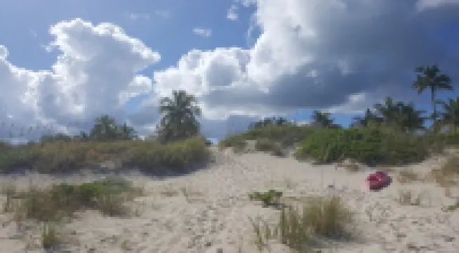 "SERENITY BY THE SEA" Treasure Cay, Abaco, Bahamas 2 bedrms/2 bathrms/ sleeps 6