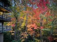 Secluded Corner Unit with Wrap Around Decks for Stunning Views