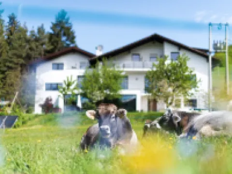 House Oberzöhr App1 Hotels in Deutschnofen