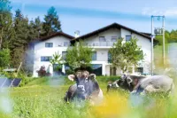 Haus Oberzöhr App1 - Olympia 2026 Cross-Country Skiing, Nordic Combined, Ski Jumping Hotel a Nova Ponente