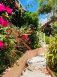 Idyllic, Romantic Caribbean Ocean Front View Coakley Bay Condo. Quiet East End