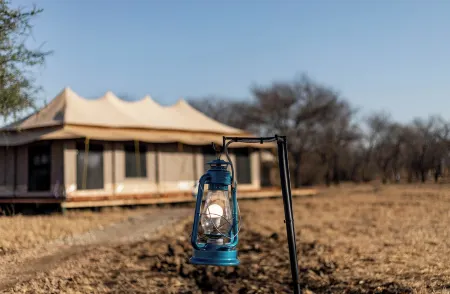 House of Nature Serengeti Отели в г. Серенгети