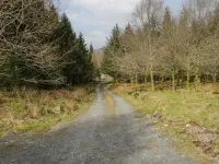 Brithgwm Canol Hotel a Dolgellau