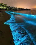 Manala Hotel - Beach