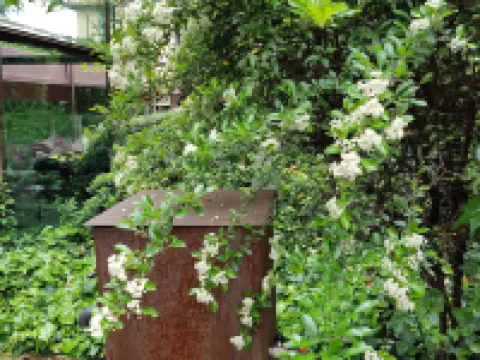 Hotel Clocchiatti Next Hotels near Udine