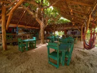 Playa 506 Beachfront Hostel Hotels in Cocles