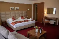 Reghina Blue Hotel Hotels in Giroc